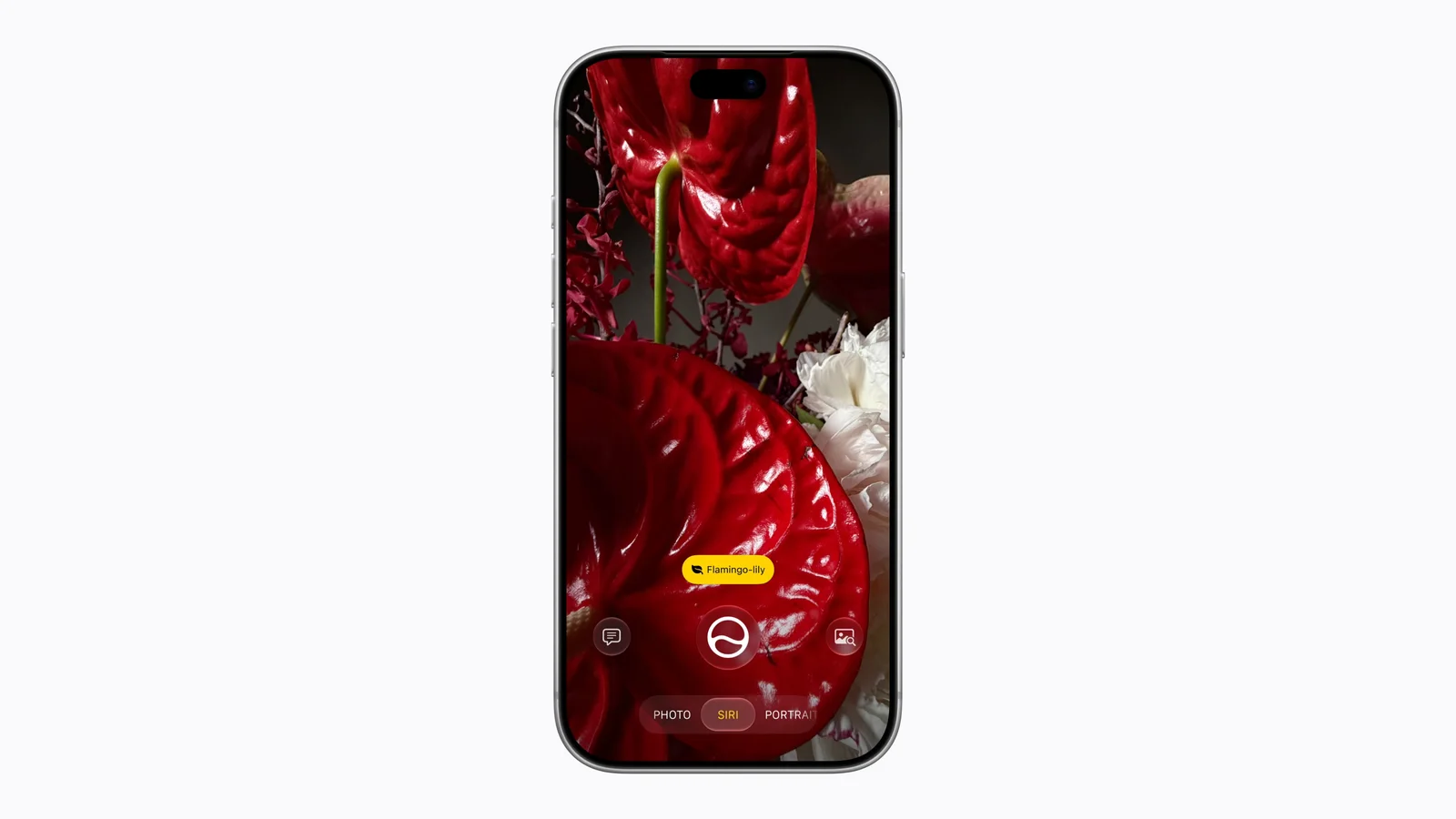 iPhone 18 Pro mit iOS 27, in der Kamera-App ist der Siri-Modus aktiv und benennt eine Blume